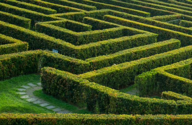Image of a maze
