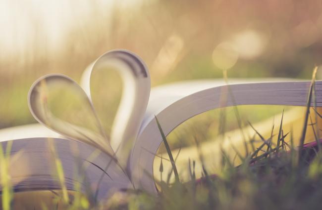 Close up heart shape from paper book on grass field with vintage filter