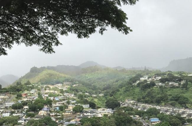 Native Hawaiian landscape