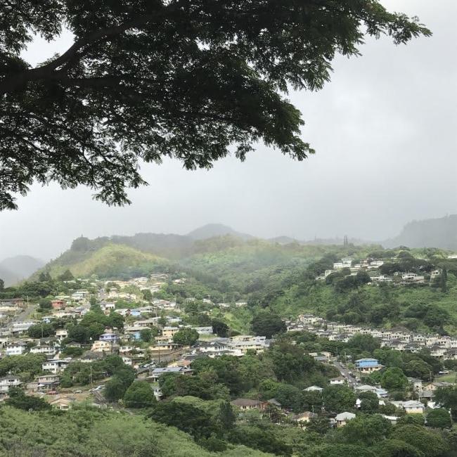 Native Hawaiian landscape