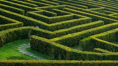 Image of a maze