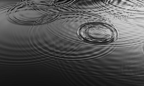 Overlapping ripples from water droplets in pond