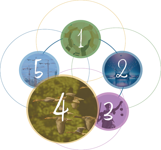 Action Area Four