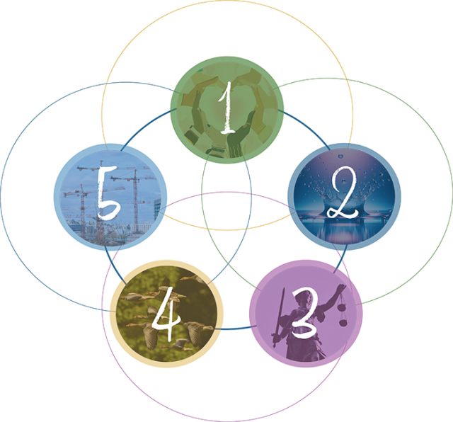 Five interconnected action areas